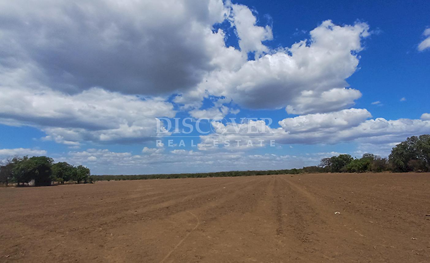 High-value land for sale in Sabana Grande