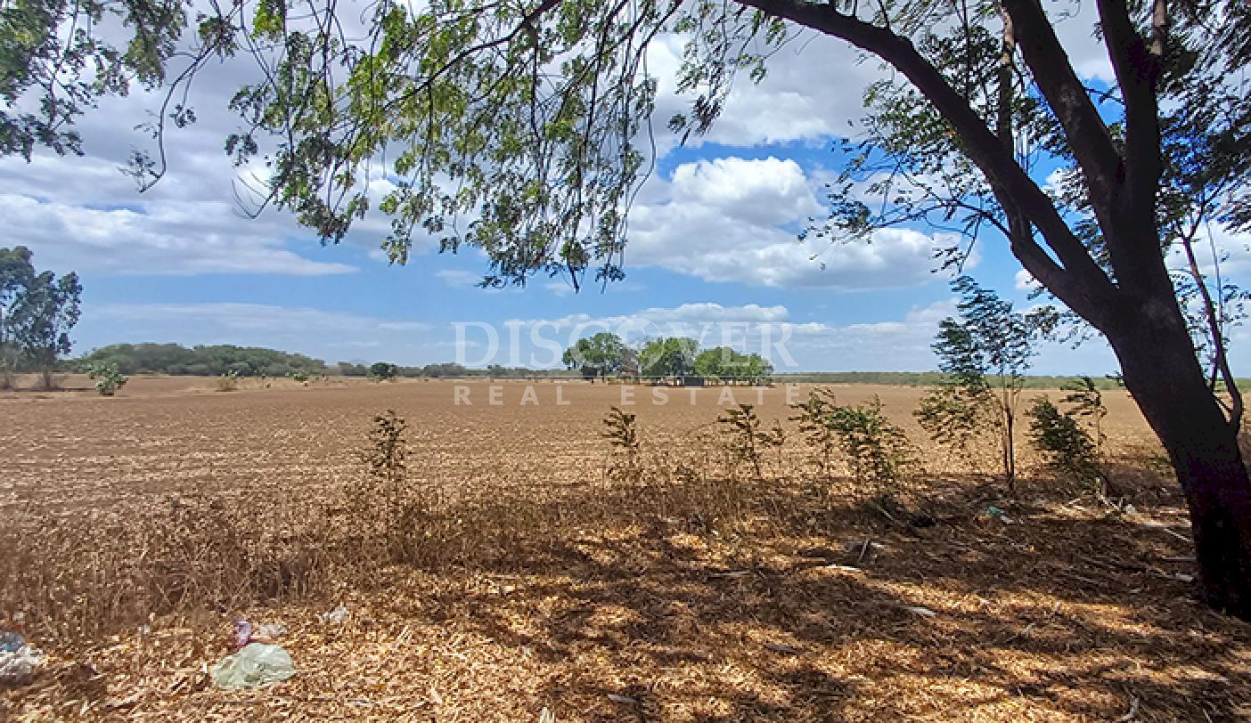 High-value land for sale in Sabana Grande
