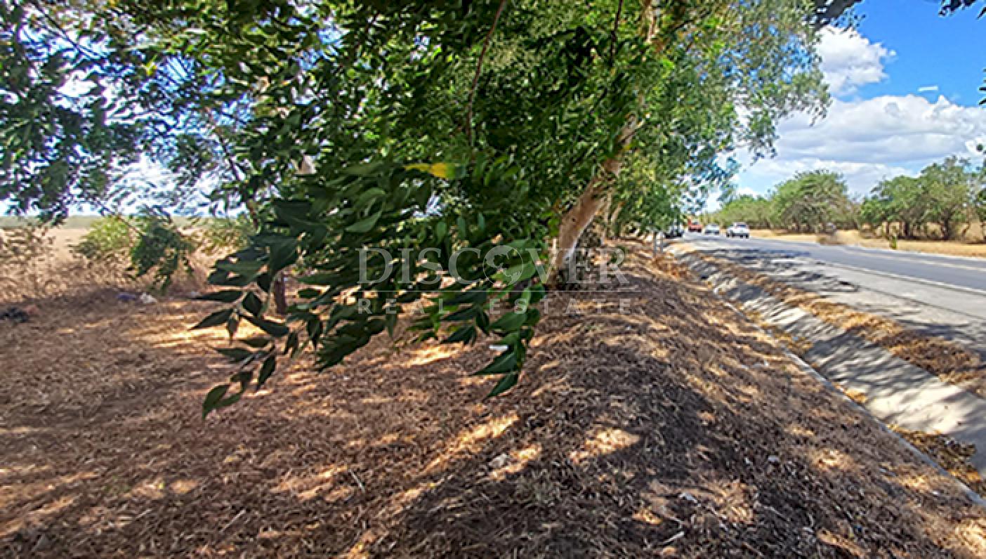 High-value land for sale in Sabana Grande