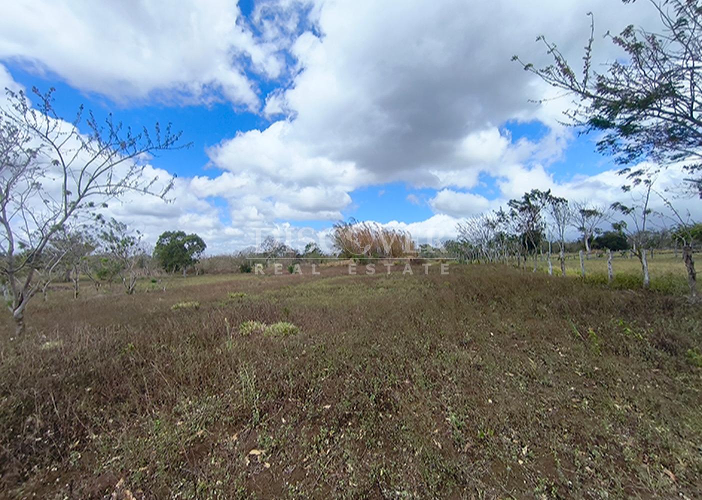 Land for sale in Diriamba