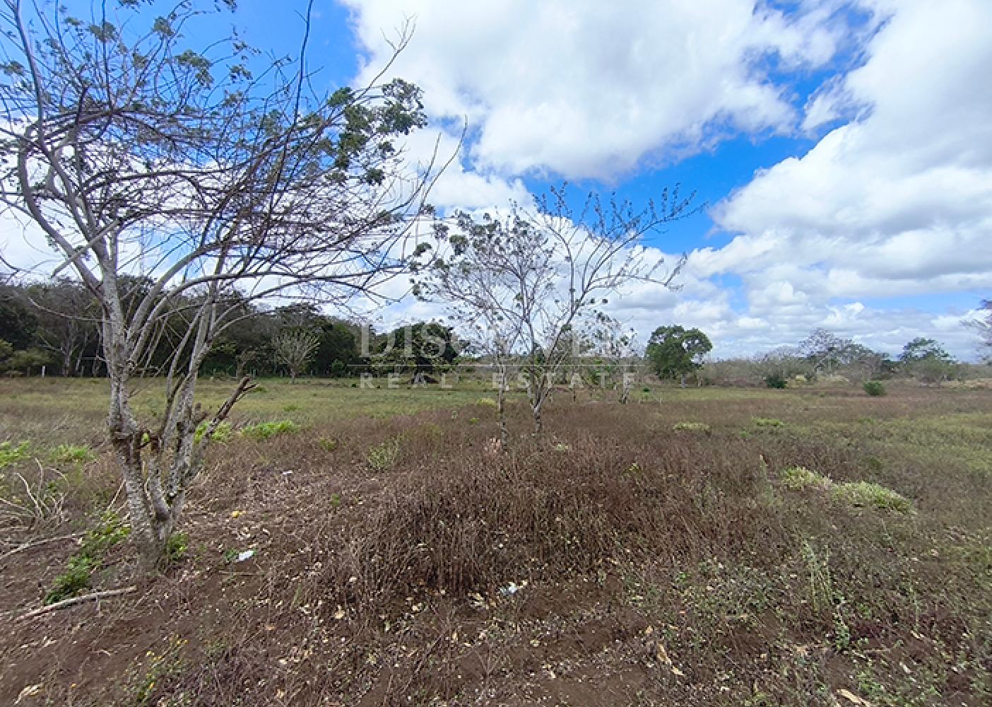 Land for sale in Diriamba