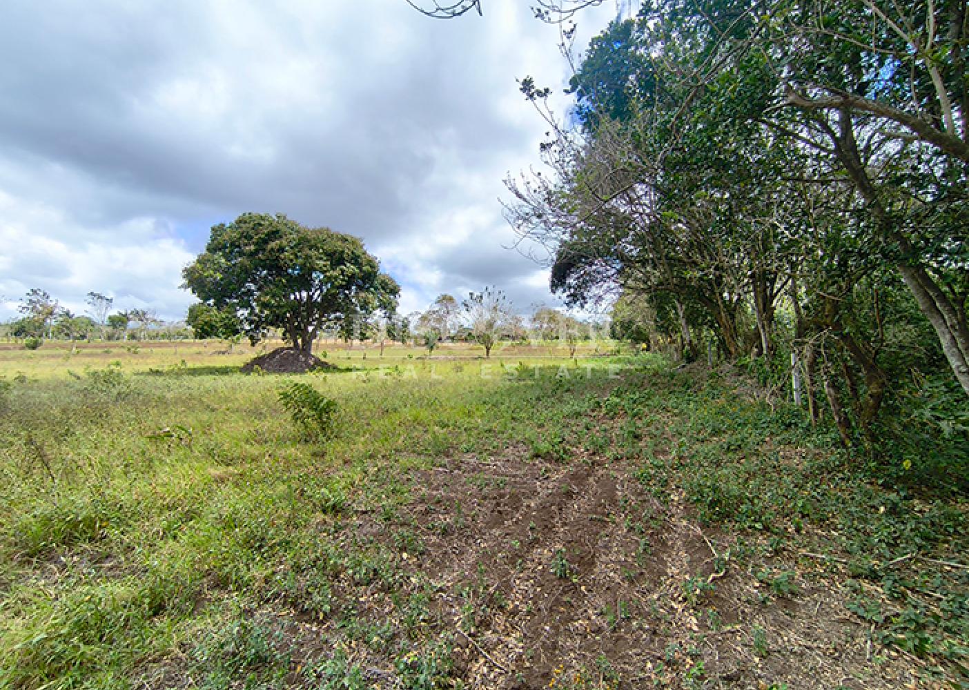 Land for sale in Diriamba