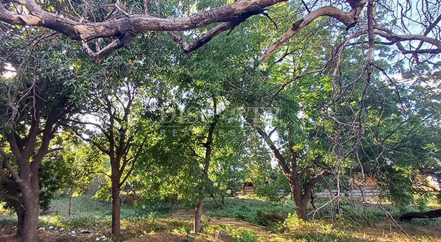 Land for sale on the Masaya Highway - High-potential area