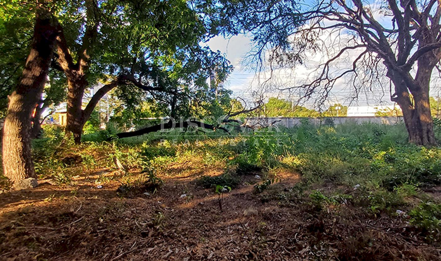 Land for sale on the Masaya Highway - High-potential area