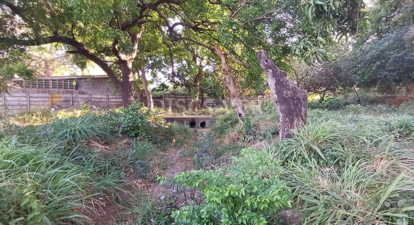 Land for sale on the Masaya Highway - High-potential area