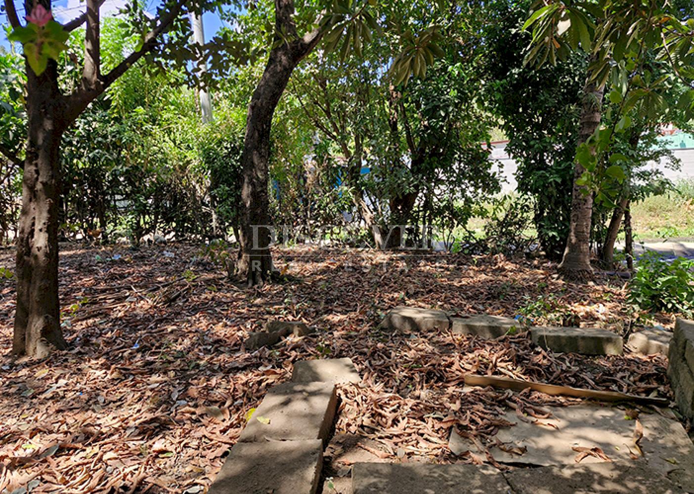 Land for sale in San Isidro de Bolas