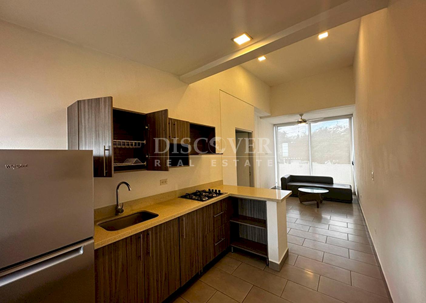  Furnished apartment for rent on Carretera Sur