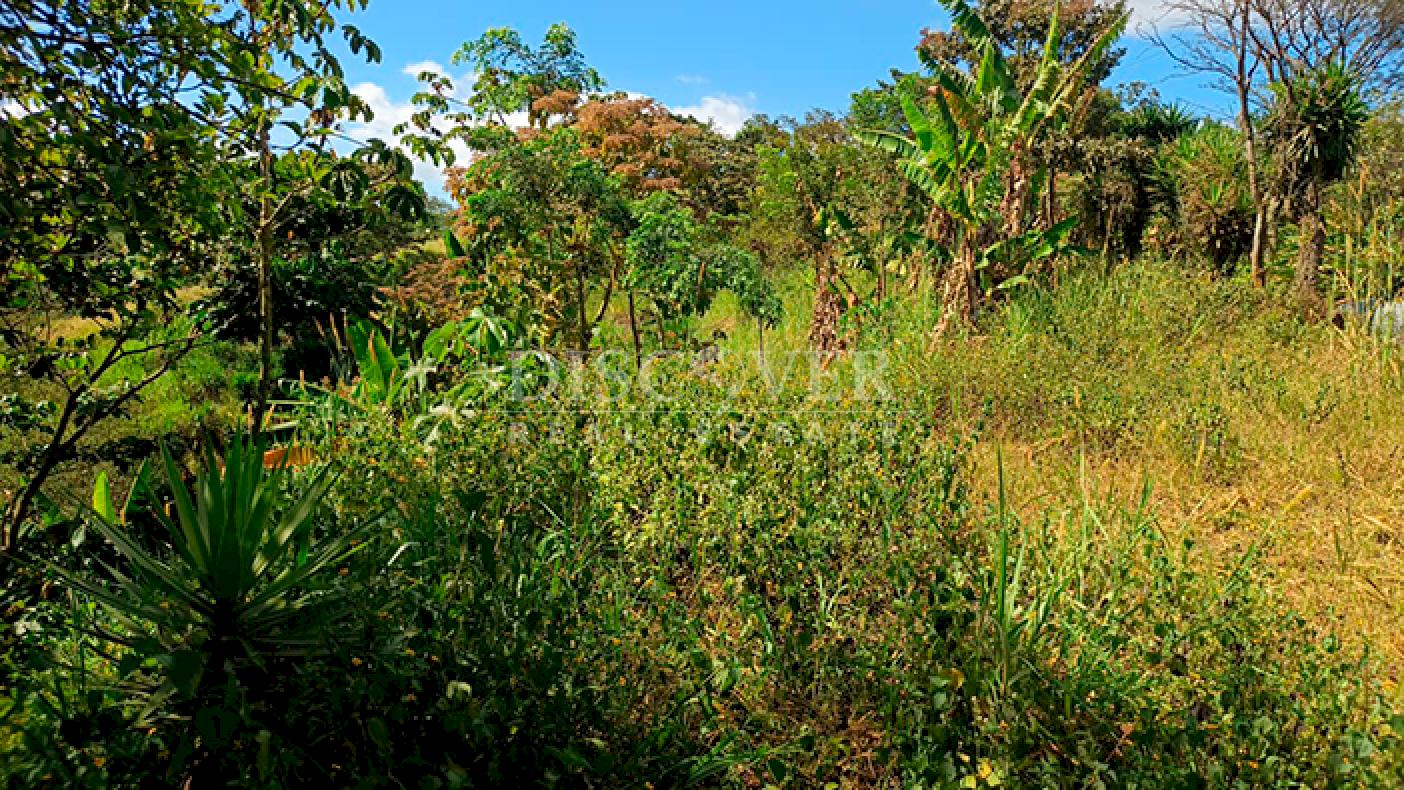 Land for sale with views on Carretera Sur - El Crucero