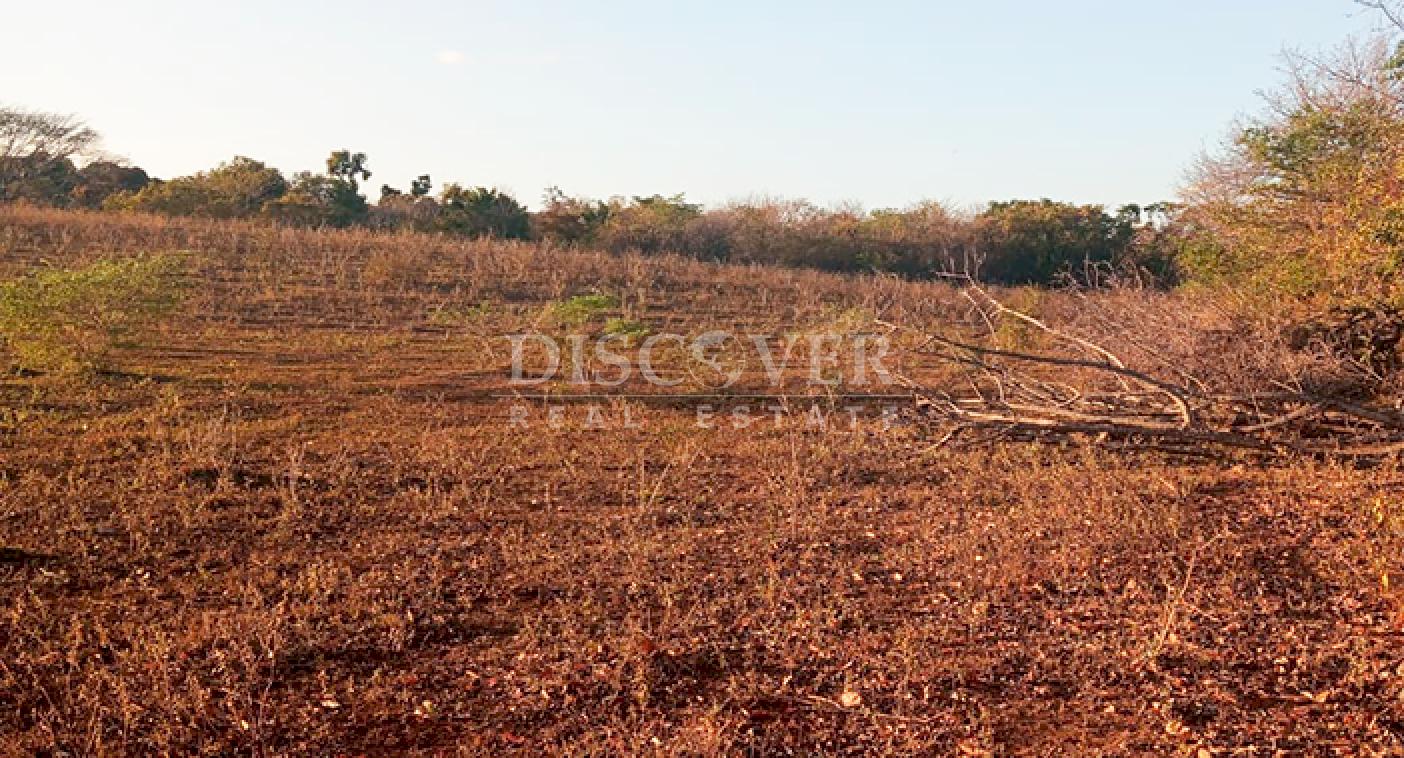 Farm with high development potential for sale on the Masaya Highway