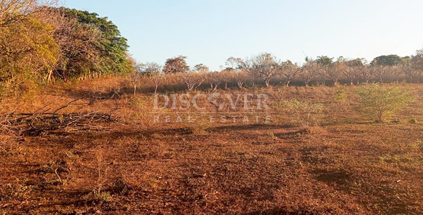 Farm with high development potential for sale on the Masaya Highway