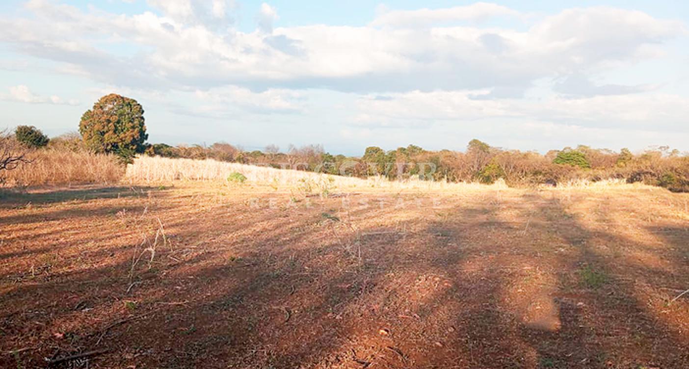 Farm with high development potential for sale on the Masaya Highway