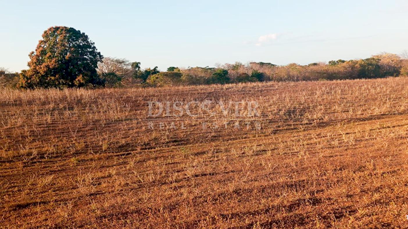 Farm with high development potential for sale on the Masaya Highway