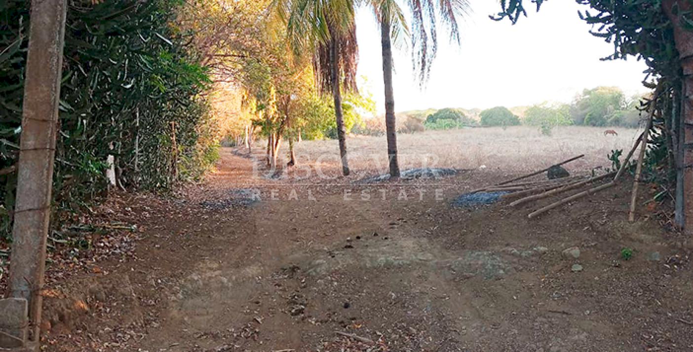 Farm with high development potential for sale on the Masaya Highway