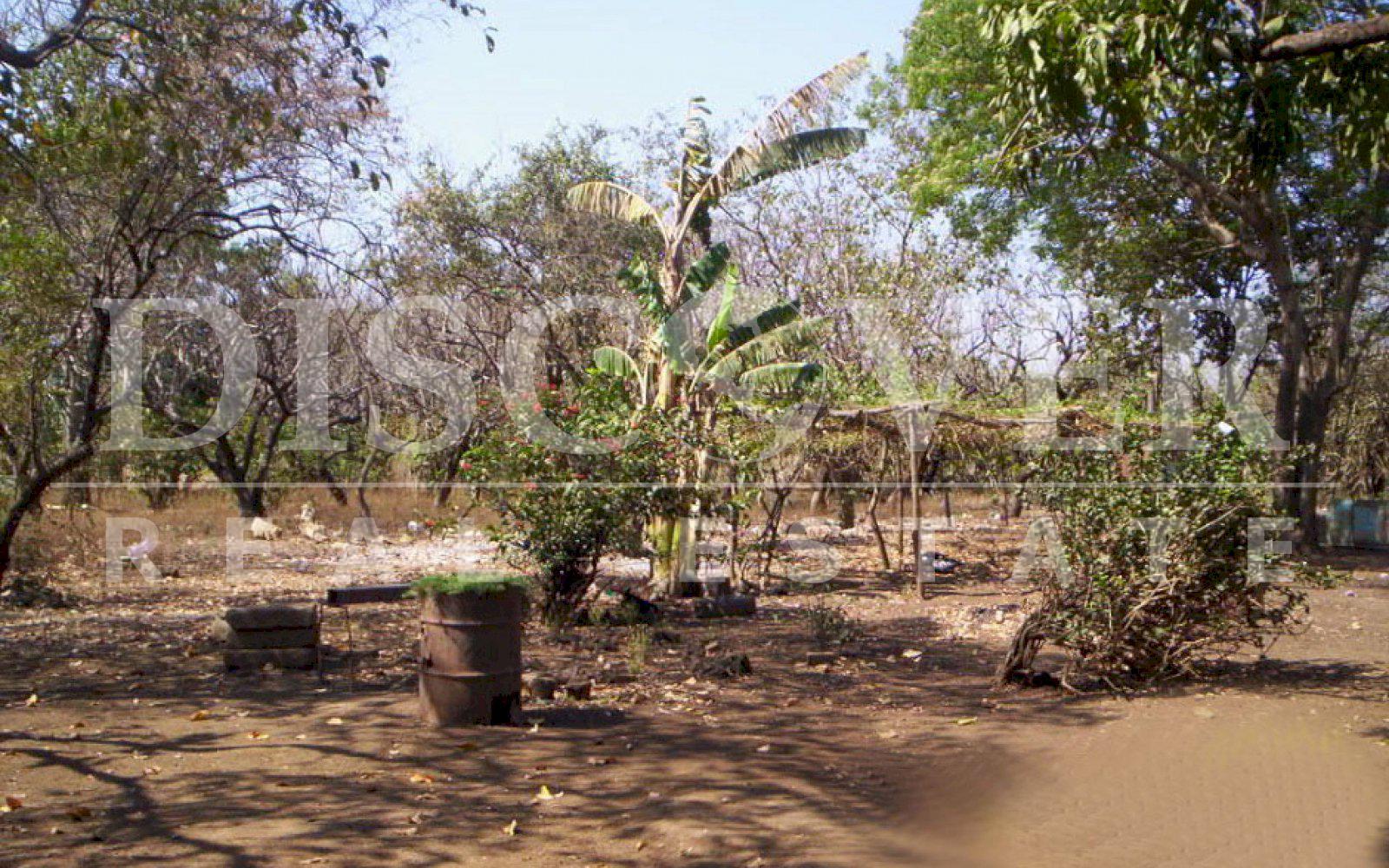 Land for Sale in Veracruz zone ID 764