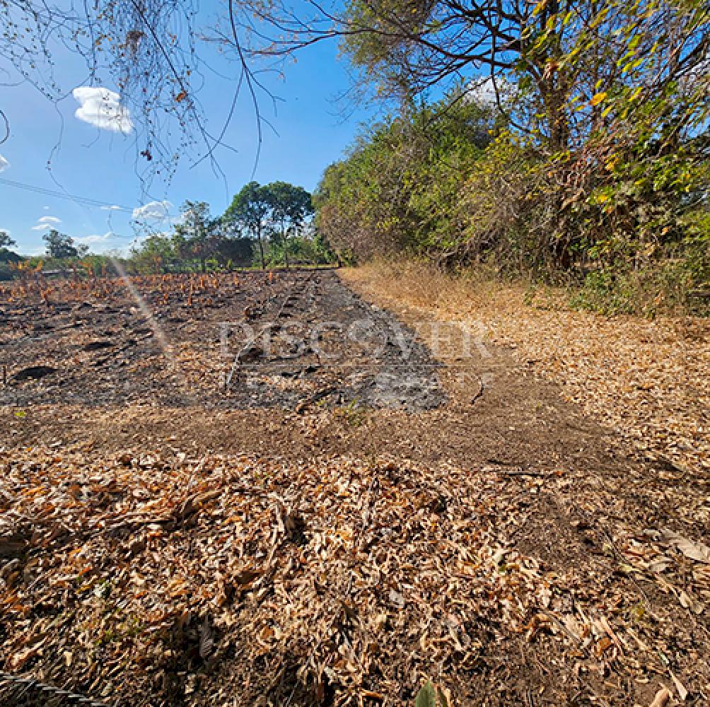  Land for sale in Nandaime 