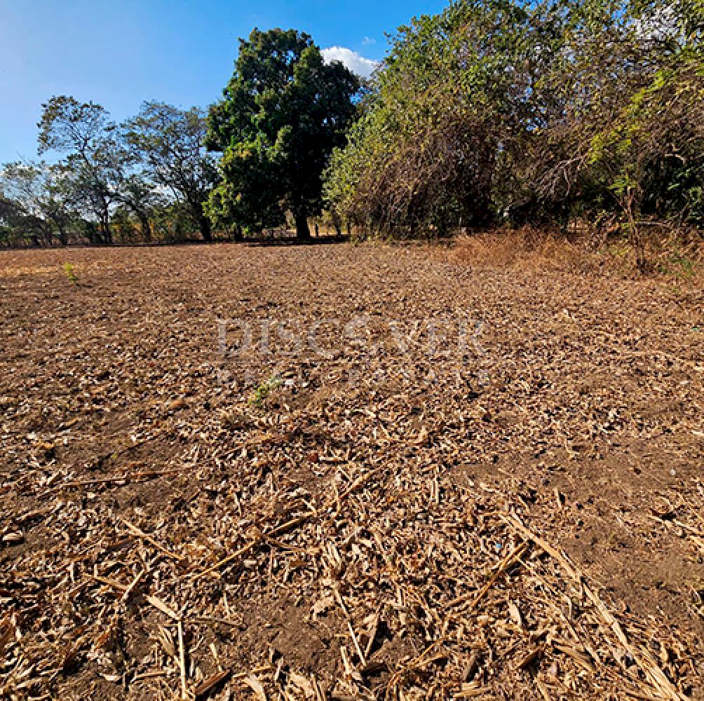  Land for sale in Nandaime 