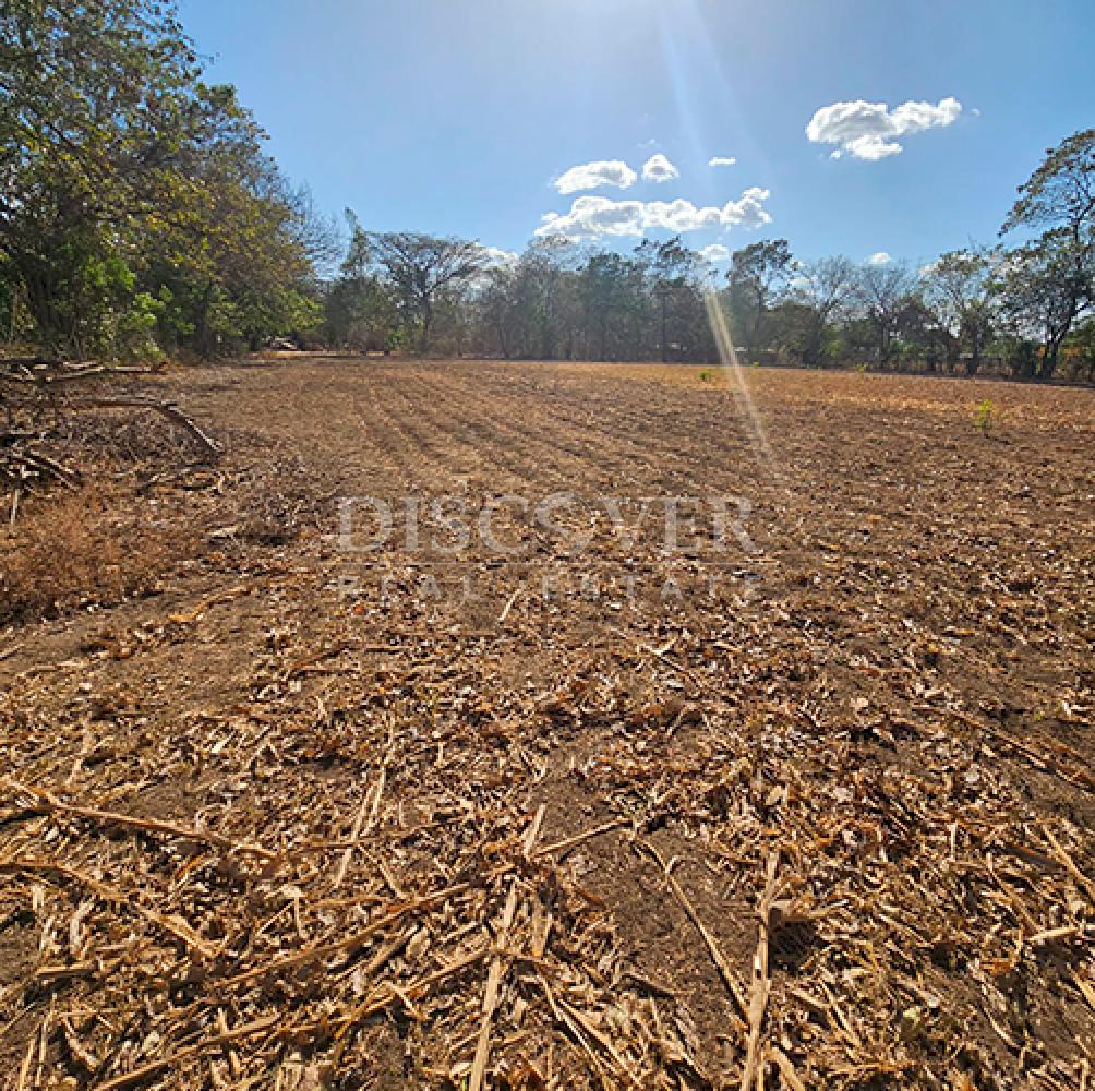  Land for sale in Nandaime 