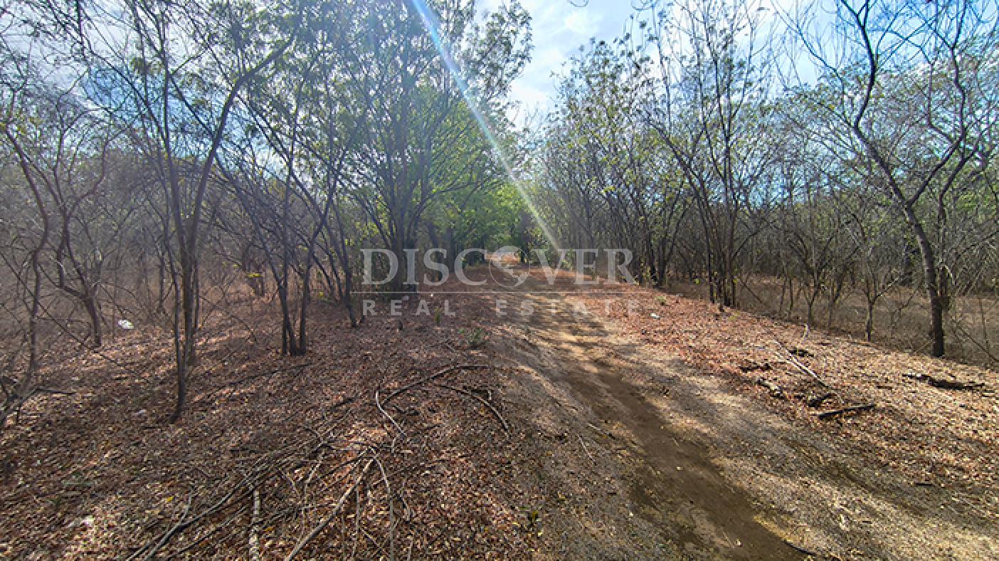  Land for sale on the road from Nindirí to Sabana 