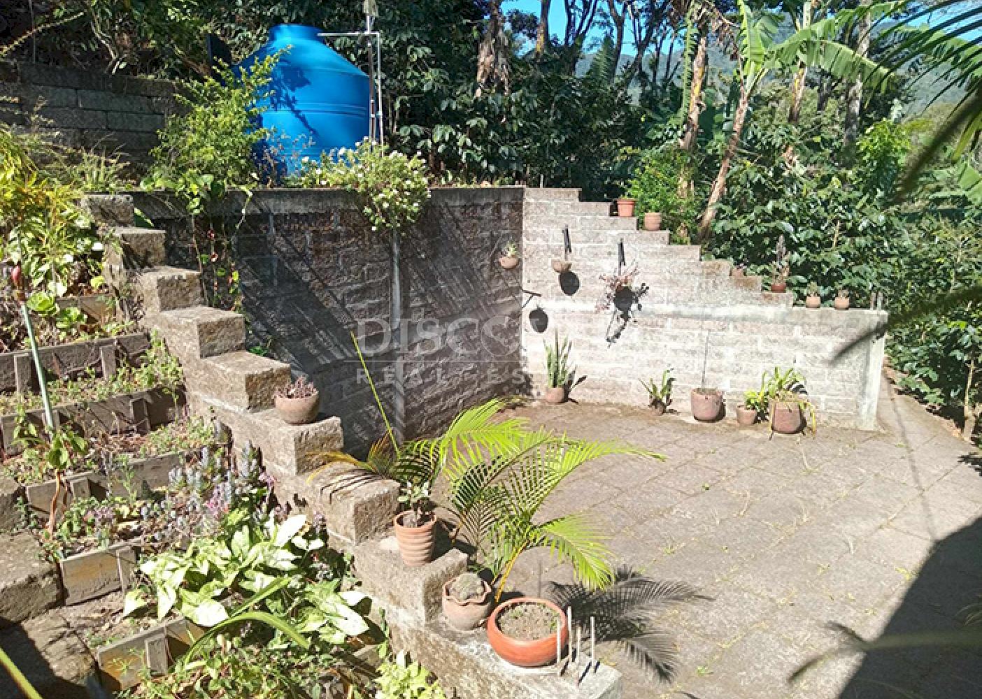 Coffee farm for sale in Matagalpa 