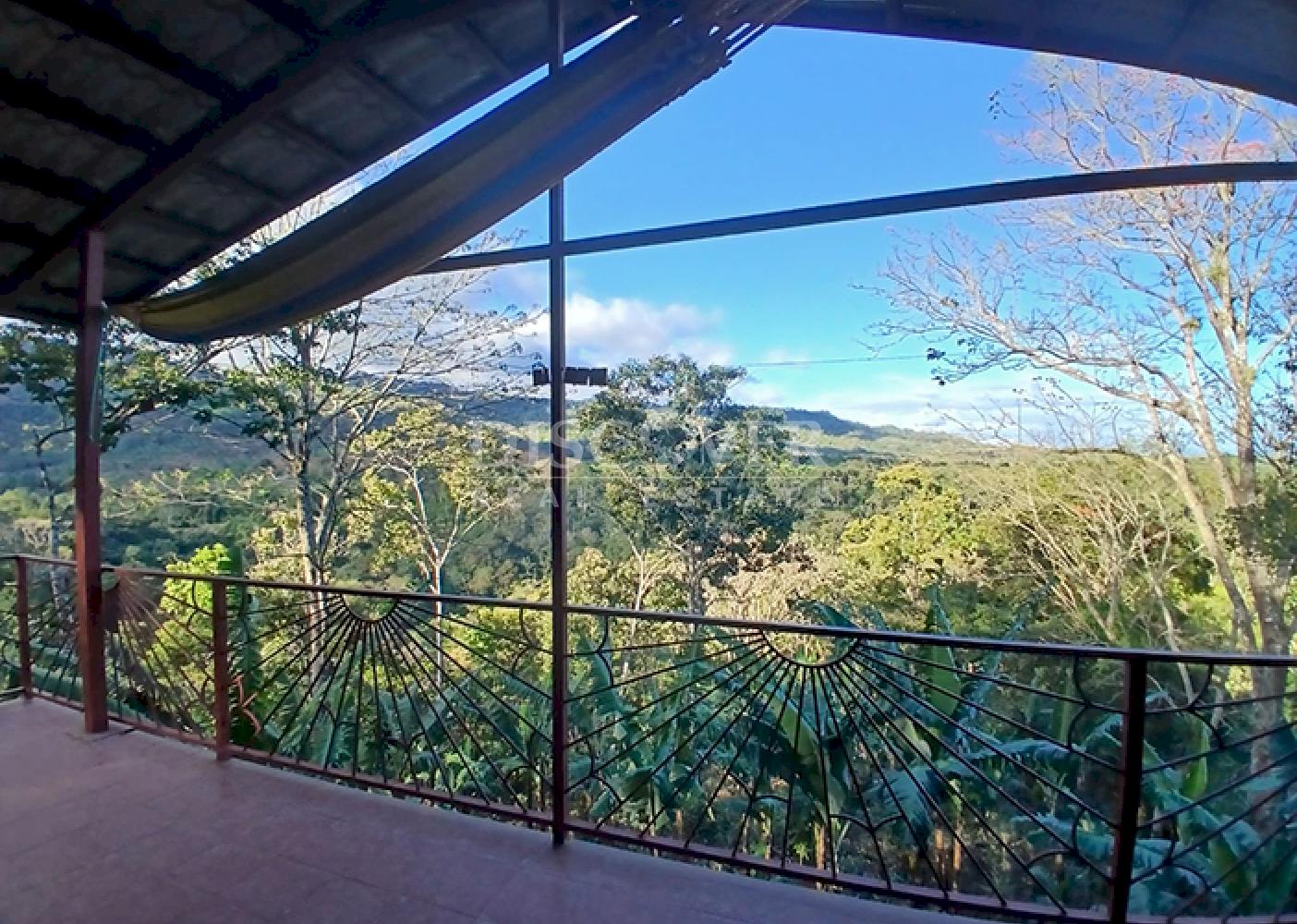 Coffee farm for sale in Matagalpa 