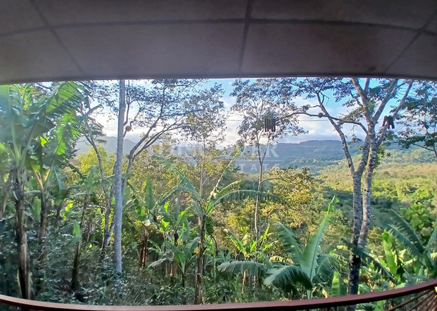 Coffee farm for sale in Matagalpa 