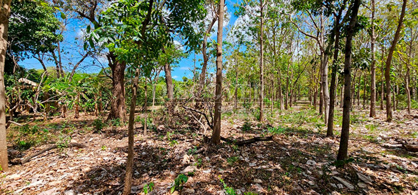 Land for sale in Pista Sabana Grande
