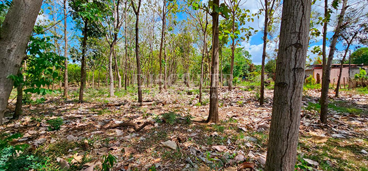 Land for sale in Pista Sabana Grande