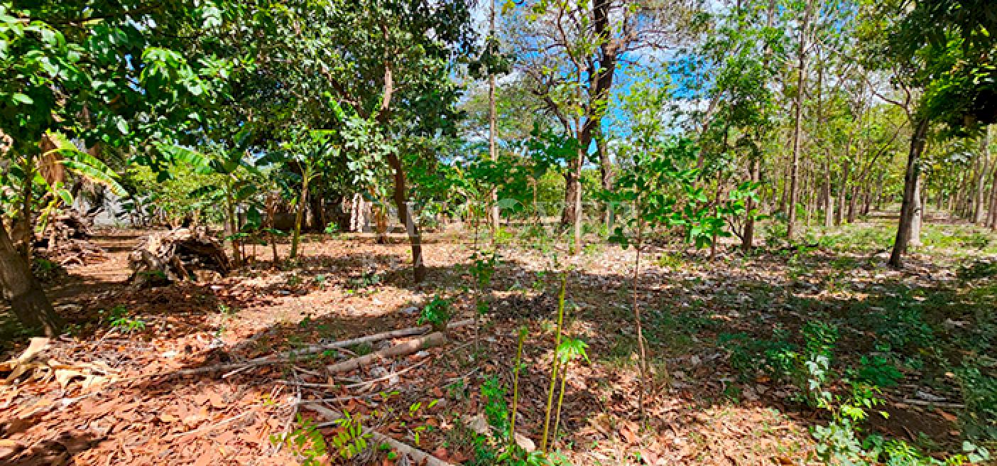 Land for sale in Pista Sabana Grande
