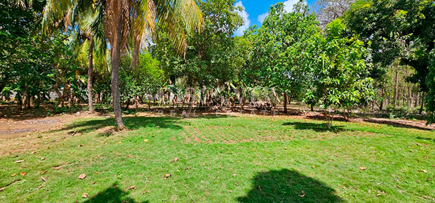 Land for sale in Pista Sabana Grande