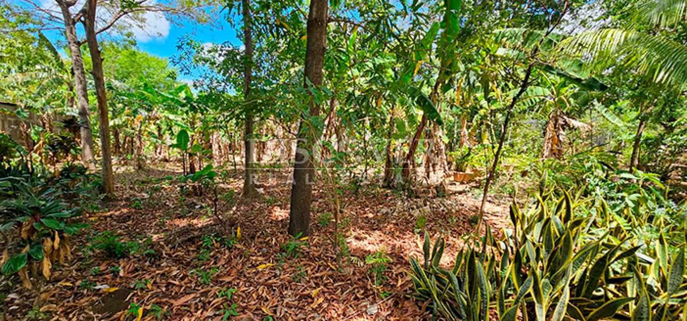 Land for sale in Pista Sabana Grande