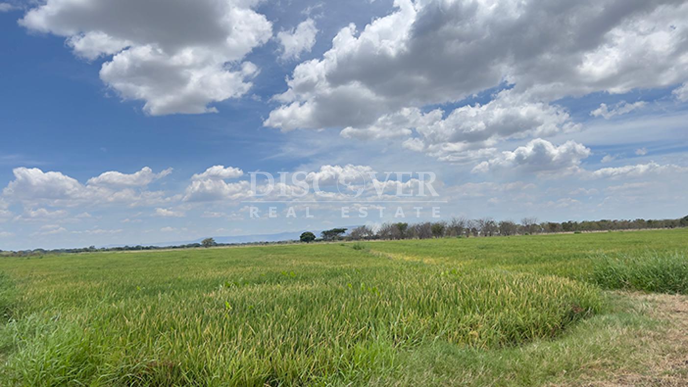  Agricultural and industrial property for sale in Sébaco - Matagalpa