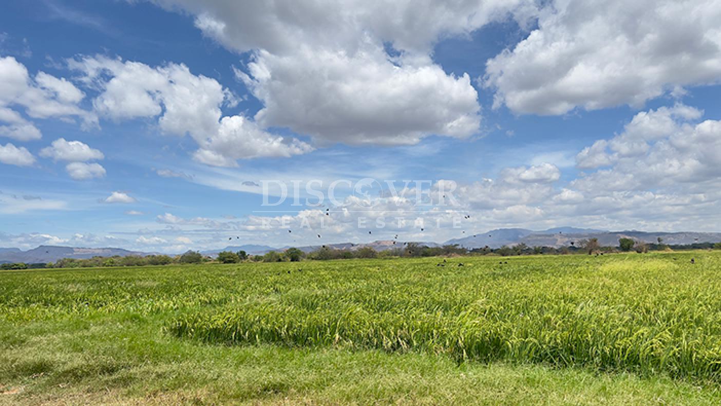  Agricultural and industrial property for sale in Sébaco - Matagalpa