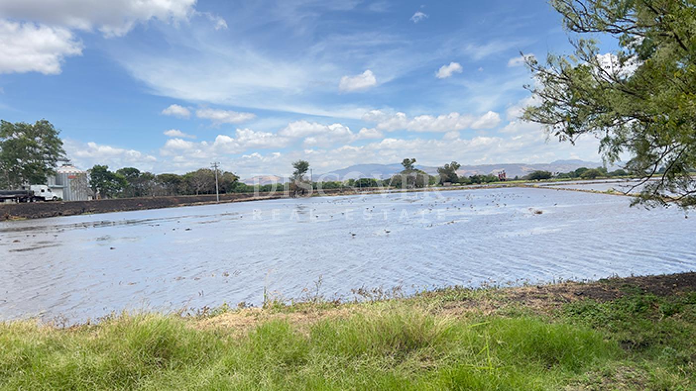  Agricultural and industrial property for sale in Sébaco - Matagalpa