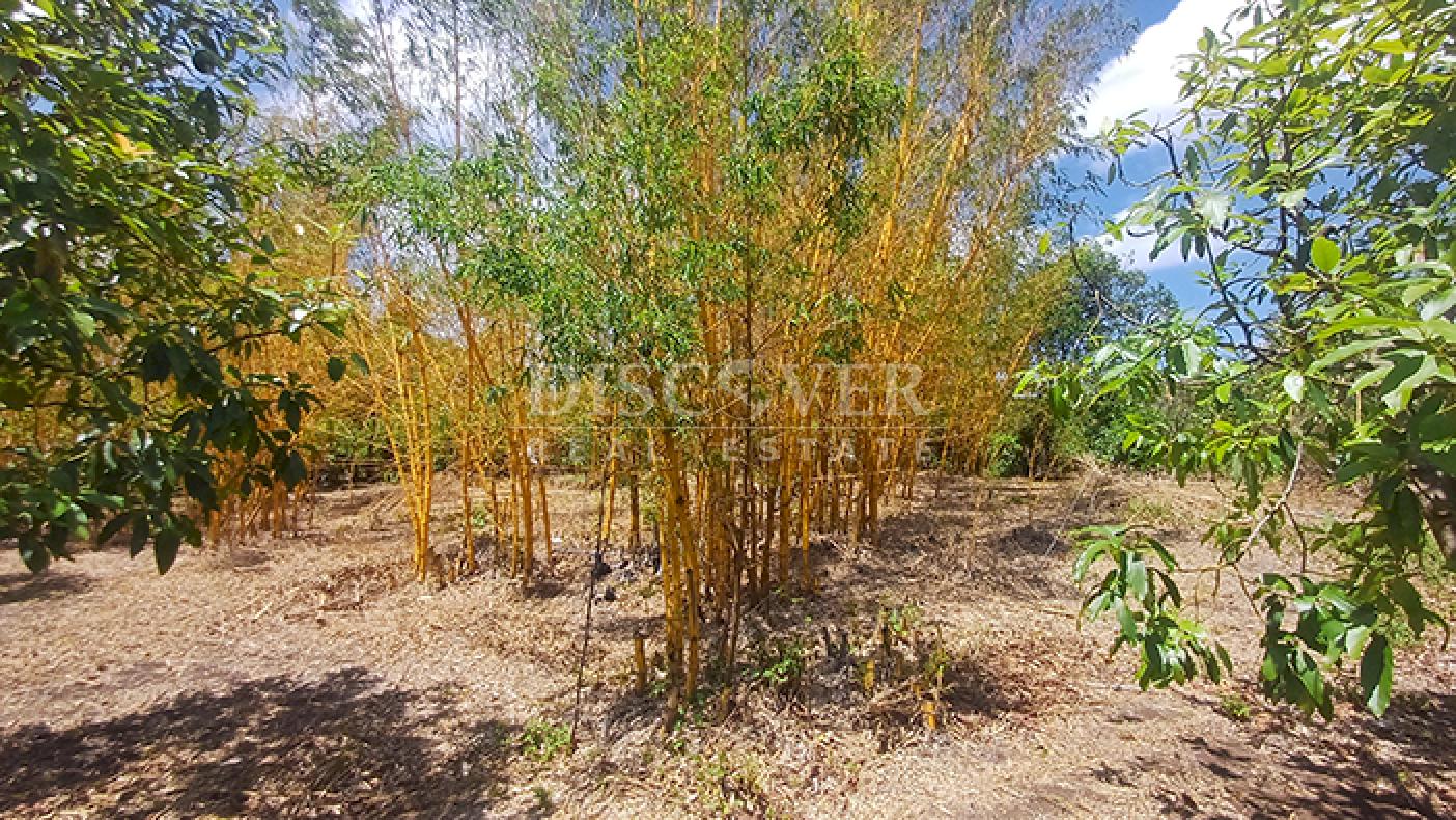 Farm with active production for sale in Masatepe