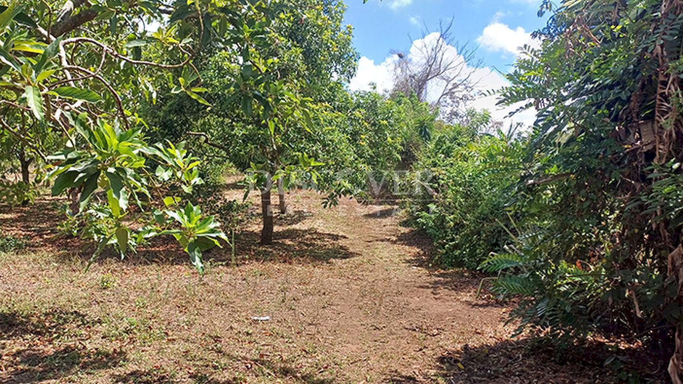 Farm with active production for sale in Masatepe