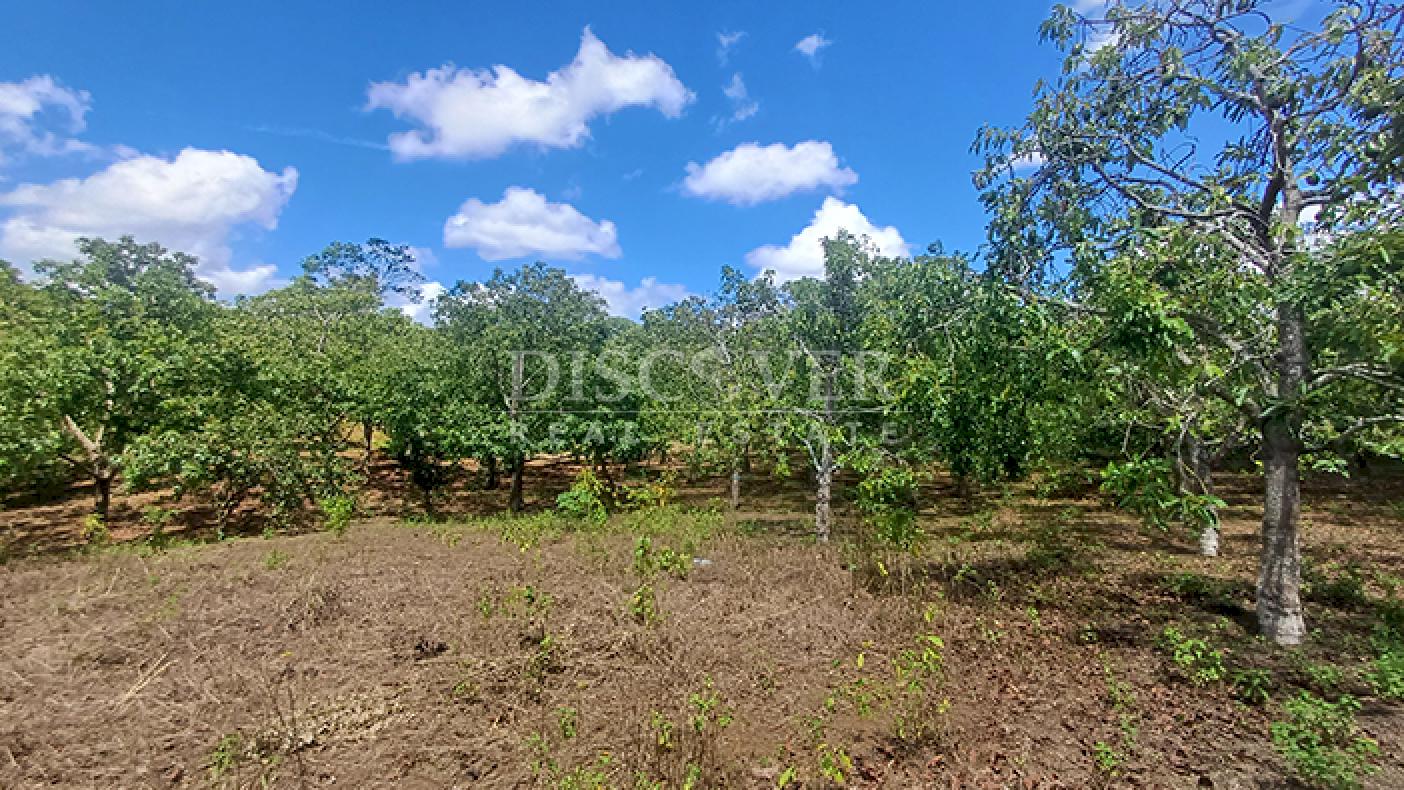 Farm with active production for sale in Masatepe