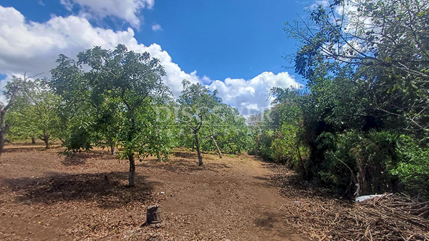 Farm with active production for sale in Masatepe