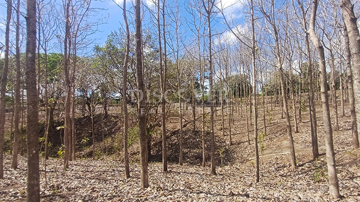 Lots for sale in Jinotepe - Carazo