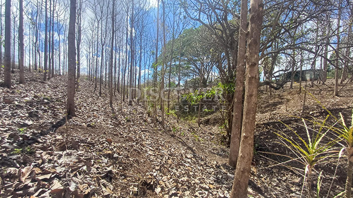 Lots for sale in Jinotepe - Carazo