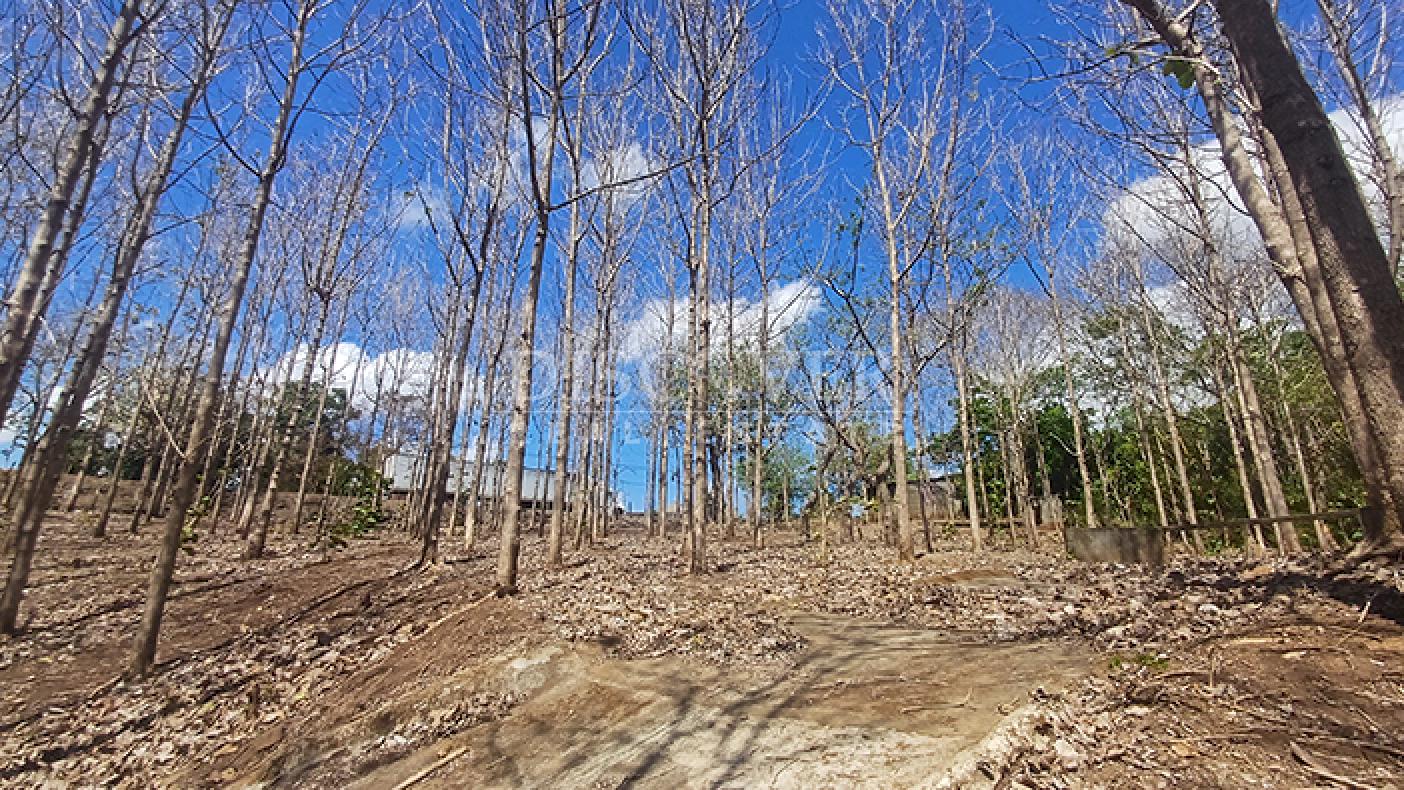 Lots for sale in Jinotepe - Carazo