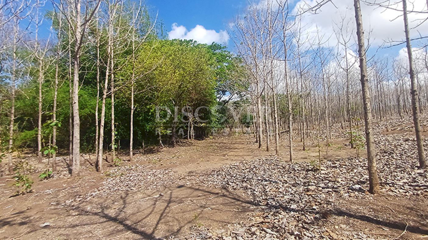 Lots for sale in Jinotepe - Carazo