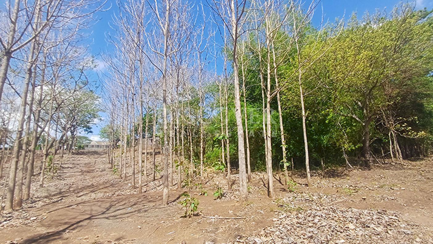 Lots for sale in Jinotepe - Carazo