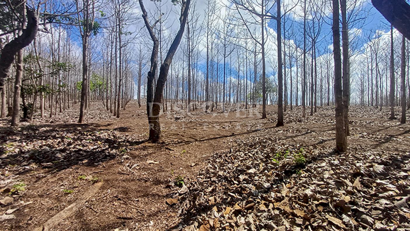 Lots for sale in Jinotepe - Carazo