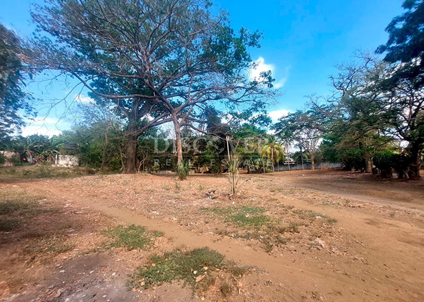  Land for sale in Las Colinas
