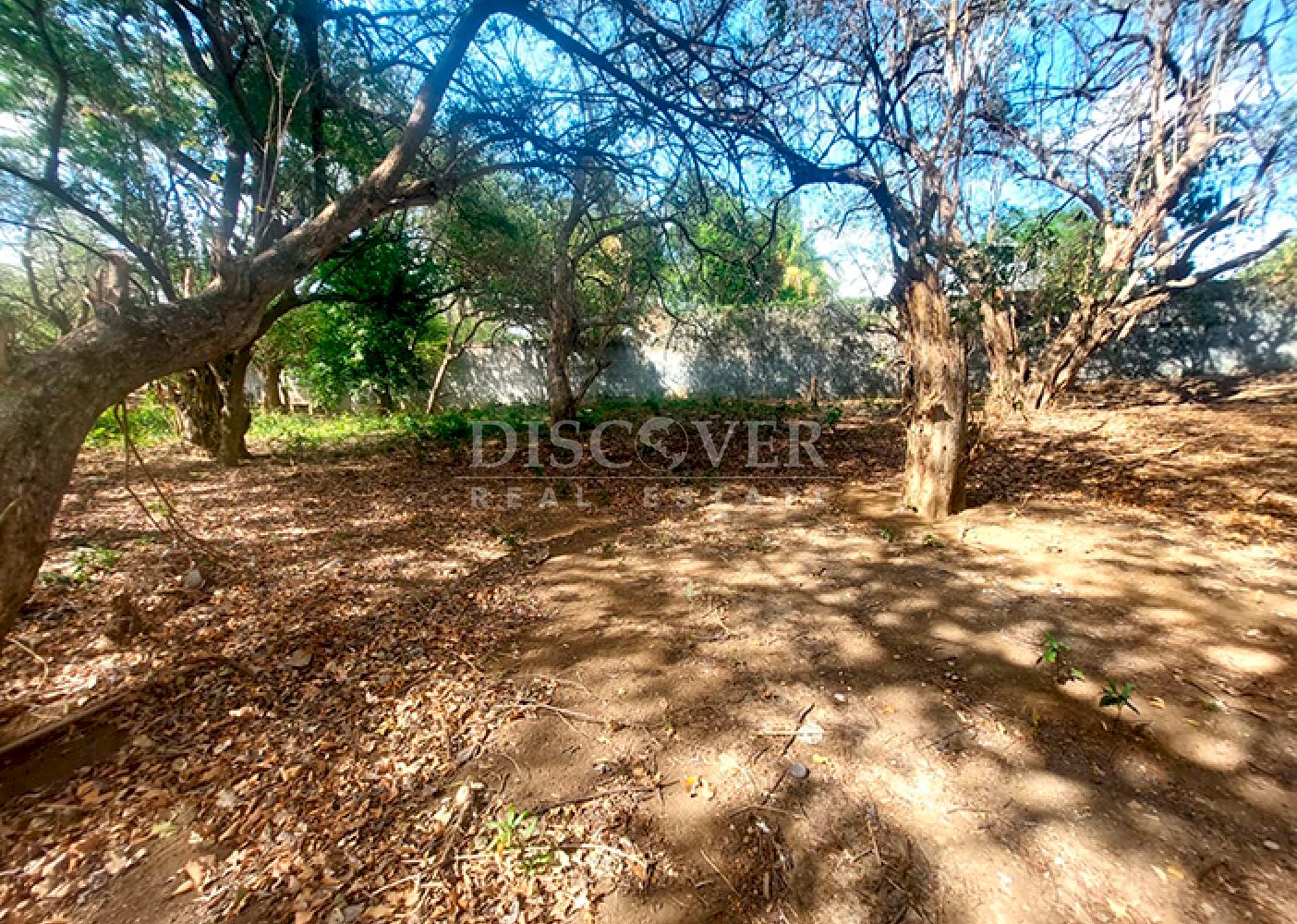  Land for sale in Las Colinas
