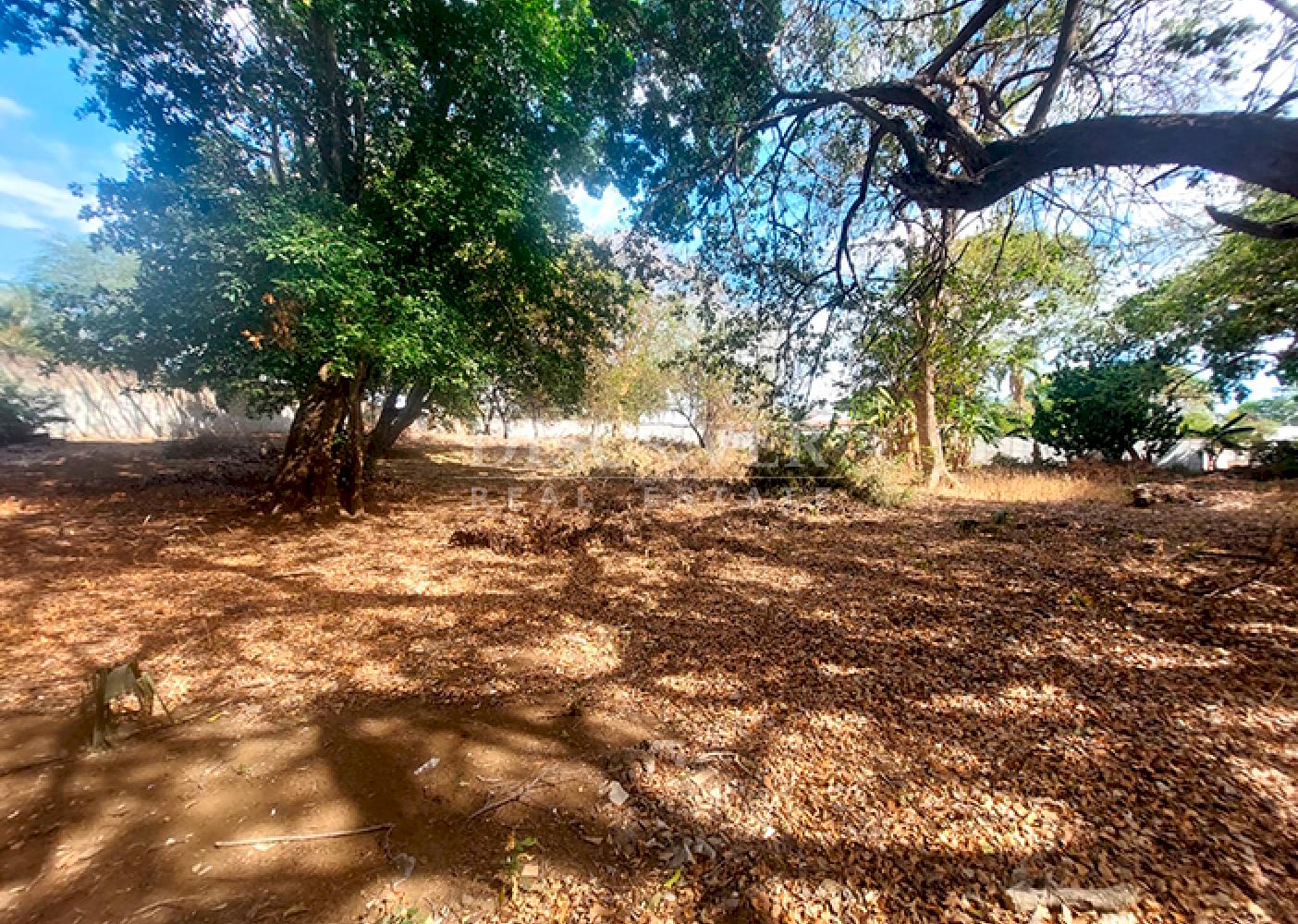  Land for sale in Las Colinas