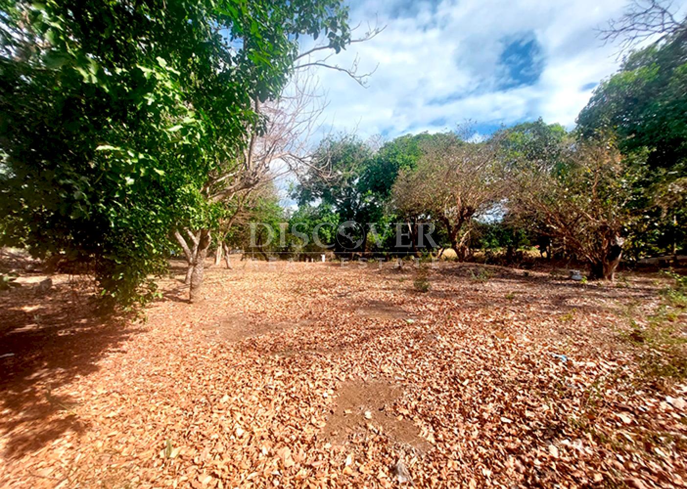  Land for sale in Las Colinas