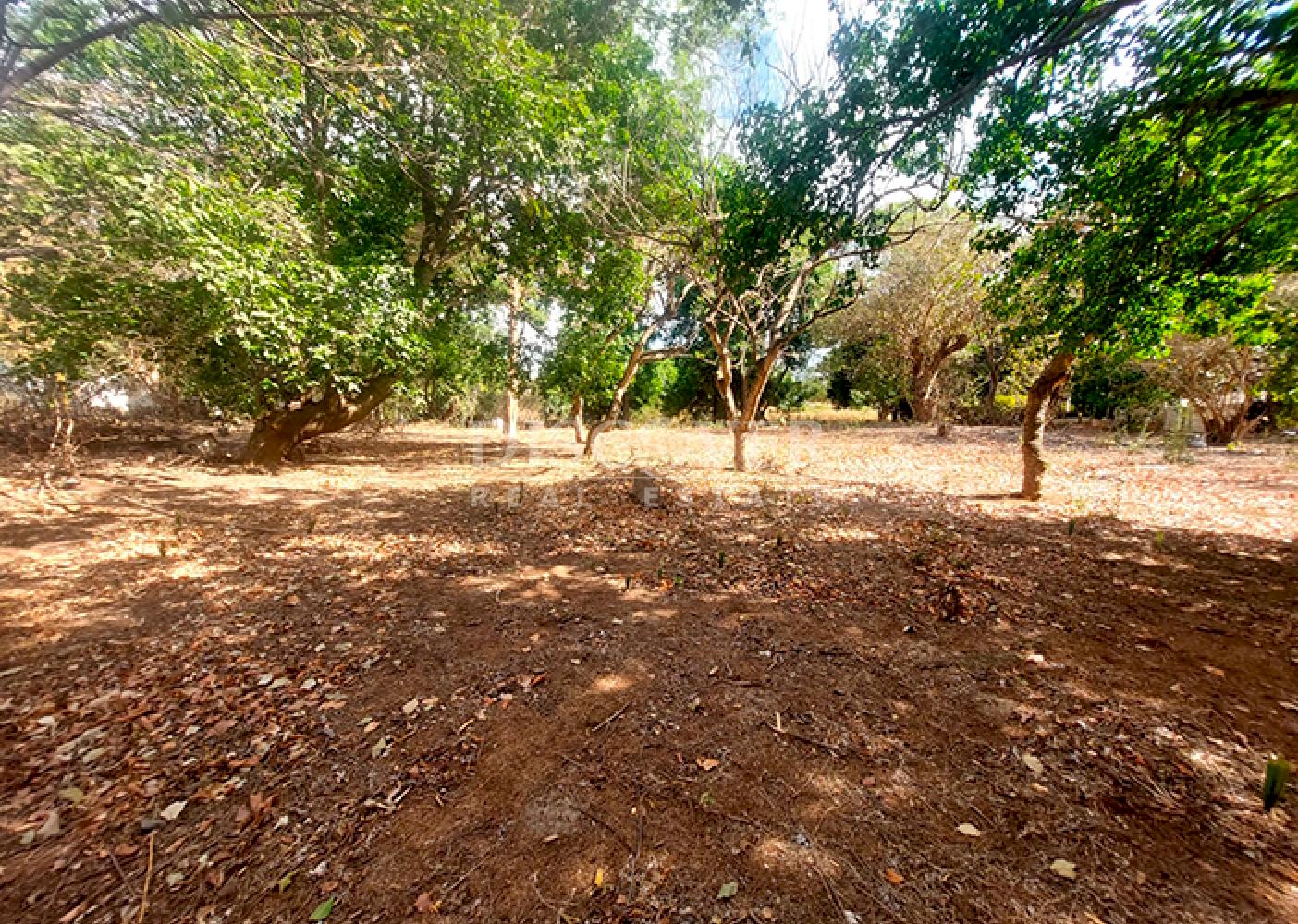 Land for sale in Las Colinas