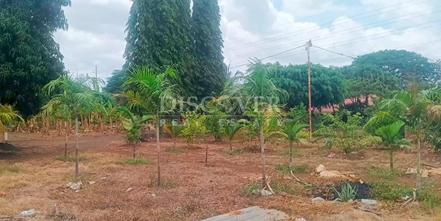  Land for rent across from the Masaya Highway