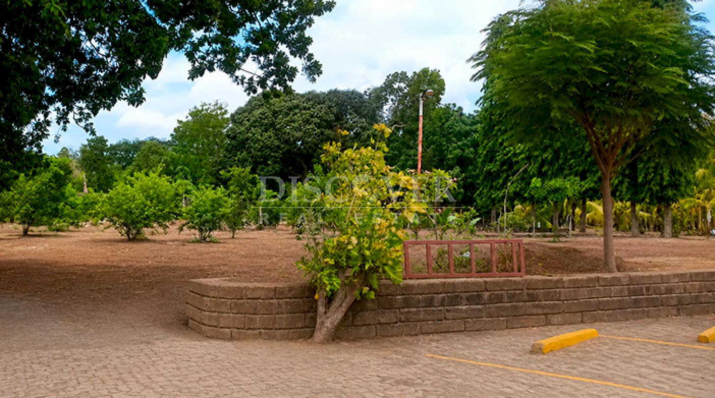  Land for rent across from the Masaya Highway